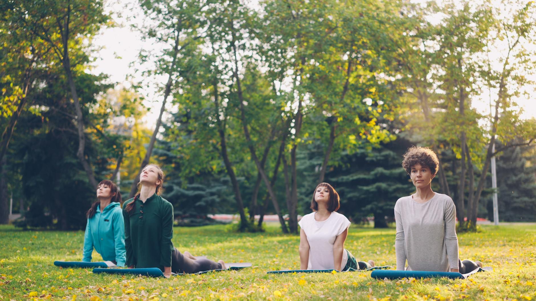 Les grands types de yoga expliqués simplement : Hatha, Vinyasa, Ashtanga et compagnie — cours de yoga en plein air au coucher du soleil