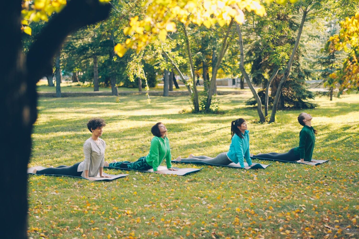 Quels sont les différents types de yoga ? Hatha, ashtanga, vinyasa et les autres