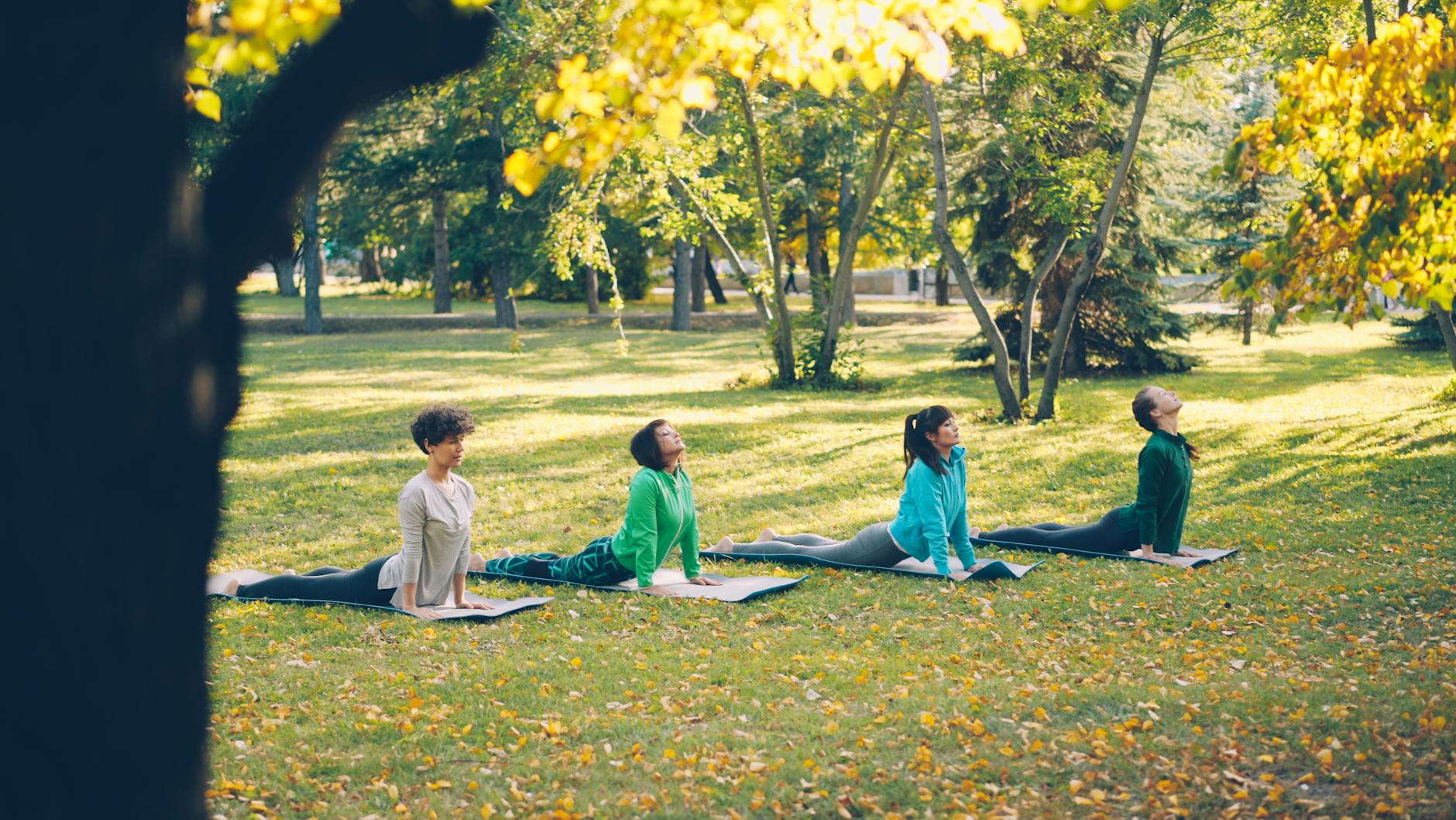 Quels sont les différents types — cours de yoga en plein air au coucher du soleil