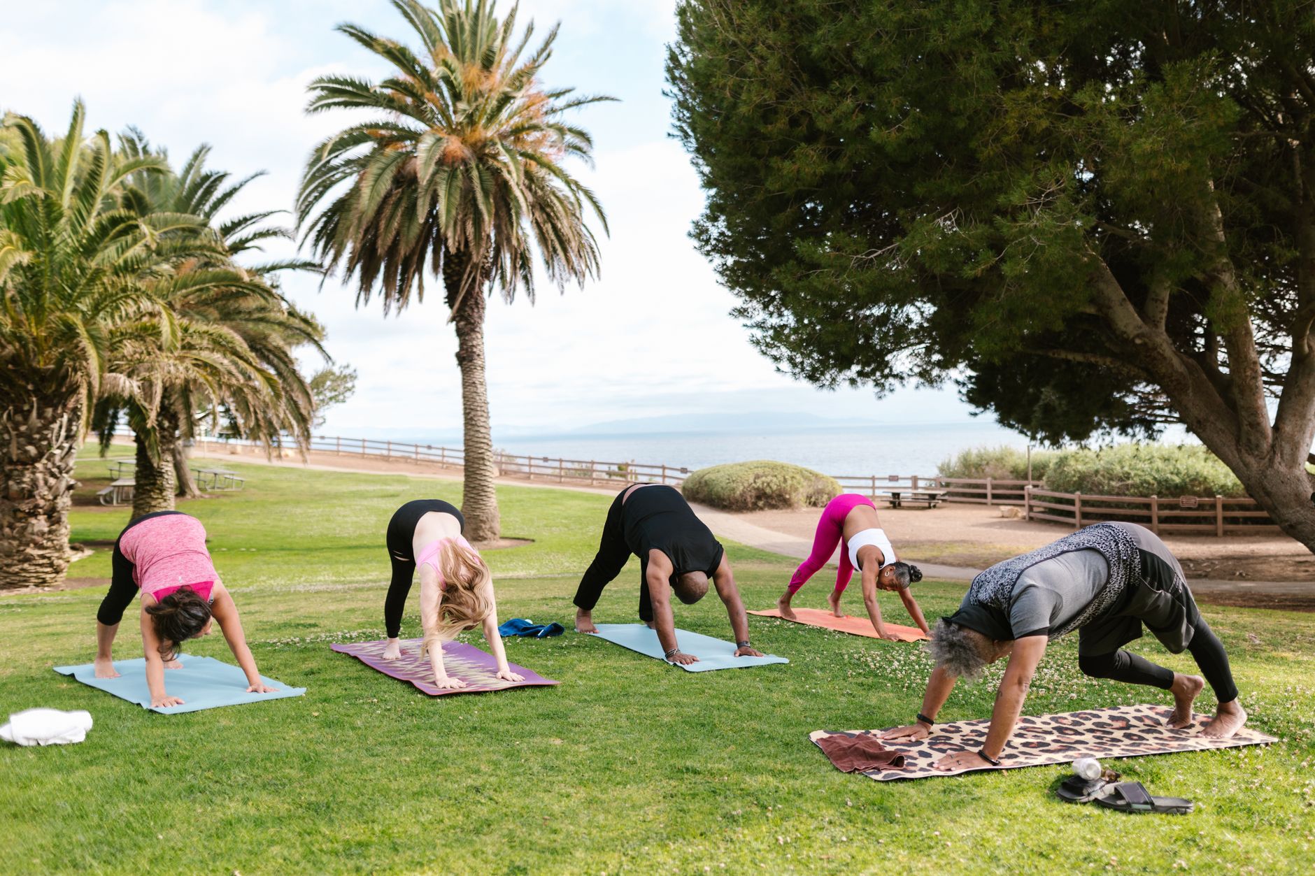 Le yoga et la définition du sport : points communs et différences fondamentales — cours de yoga en plein air